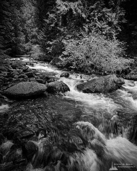 Forest Stream Ford Pinchot National Forest Washington 2019