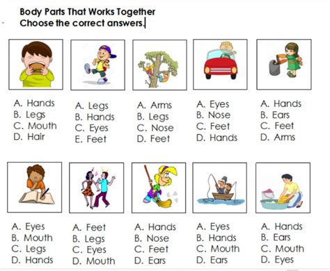In this worksheet kids can learn about the human body parts. Body Parts That Work Together - Interactive worksheet