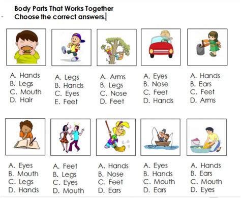 Body parts worksheet for grade 1 pdf. Body Parts Worksheet For Grade 1 Pdf : 1st Grade Science ...