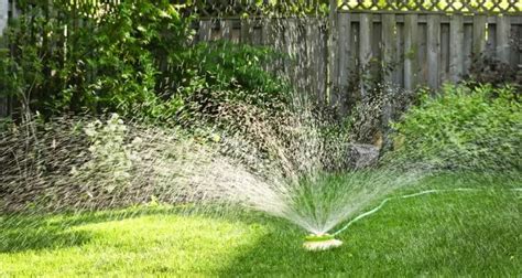 How To Water New Grass Seed For Optimal Growth Water Evidence