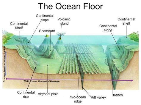 Diagram Of Ocean Floor Features