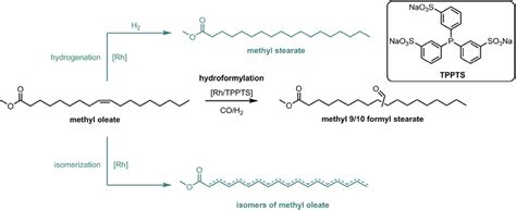 Hydroformylation Of Methyl Oleate Mo To Methyl 910 Formyl Stearate