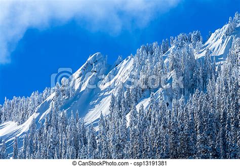 Snowy Trees Mcclellan Butte Snow Mountain Cascade Mountains Snoqualme