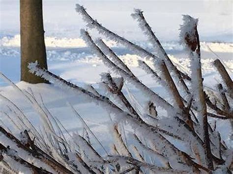 Hoar Frost Fog Make For Beautiful Morning Scenes Send Us Your Photos