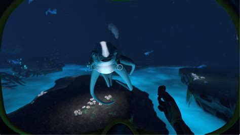 Where To Find Cuddlefish In Subnautica Hatching A Companion