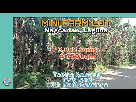 P 95 3652 Sqms 750 Sqm Residential Lot In Nagcarlan Laguna