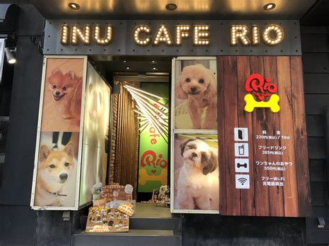 Puppy Cafe Rio — As Seen In Japan