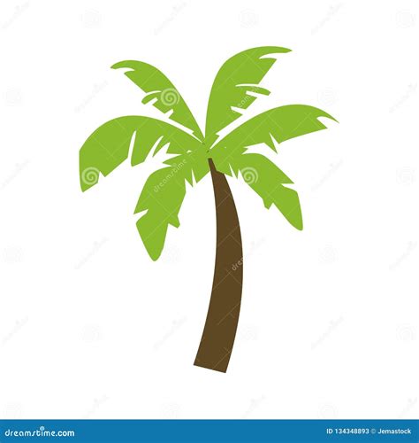 Beach Palm Tree Stock Vector Illustration Of Graphic 134348893