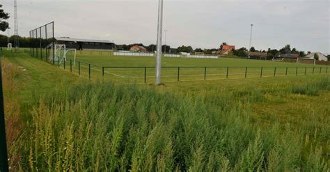 See what people are saying and join the conversation. Onkruid op voetbalveld halve meter hoog | Steenokkerzeel ...