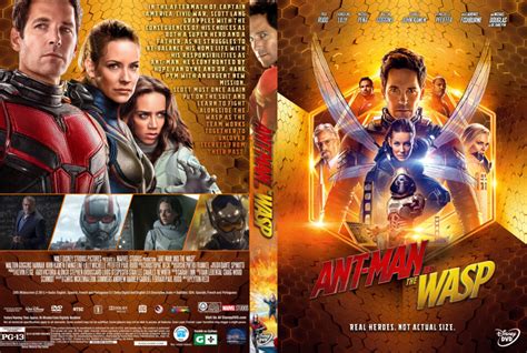Ant Man And The Wasp 2018 R1 Custom Dvd Cover Dvdcovercom
