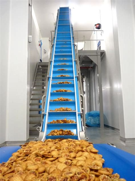 Food Processing Conveyor Belts Monolithic Vs Modular Plastic