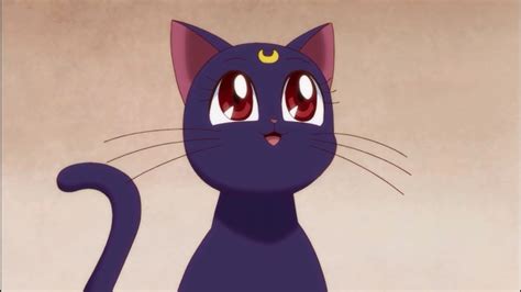 This Halloween Were Appreciating The Best Anime Black Cats Otaku