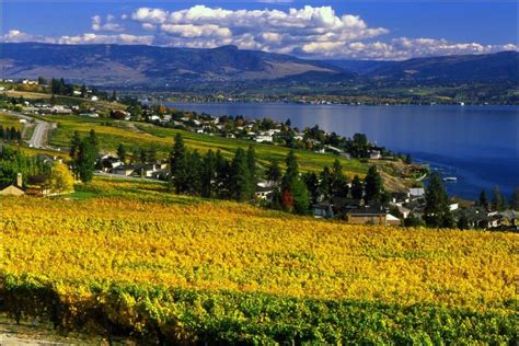 One Fine Day In The Okanagan Valley Canada Travelers Life