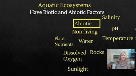Aquatic Ecosystems Biotic And Abiotic Factors Youtube