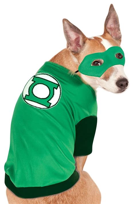 Rubies Costume Dc Heroes And Villains Collection Pet Costume Green