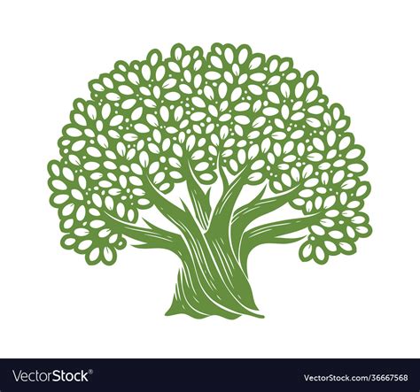 Tree Symbol Decorative Oak With Leaves Royalty Free Vector
