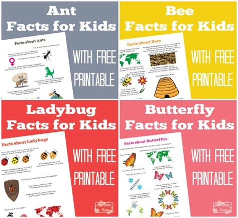 100 Amazing Facts Every Kid Should Know Fun Facts For Kids Facts For