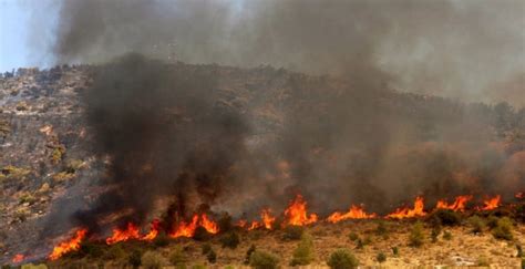260 νέα κρούσματα στη θεσσαλονίκη. ΦΩΤΙΑ ΤΩΡΑ: Μαίνεται σε δύσβατη περιοχή η πυρκαγιά στη Ζάκυνθο | Pagenews.gr