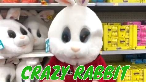 Crazy Rabbit Youtube