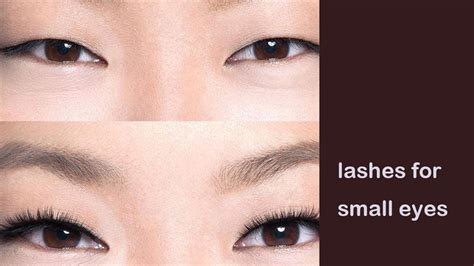 🧐how to choose the right lashes to match your eye shapes