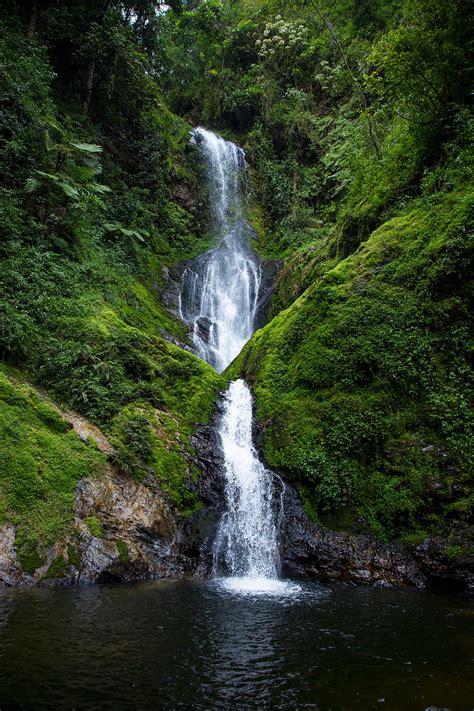 5k Free Download Waterfall Stream Rock Water Moss Bushes Hd