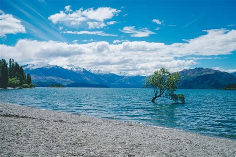 8 Best Things To Do In Wanaka New Zealand In 2024