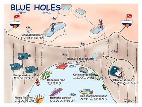 Mapblue Holes Splash Palau Dive Center