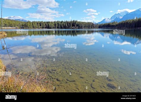 Herbert Lake And Whitehorn Mountain Banff National Park Alberta Canada
