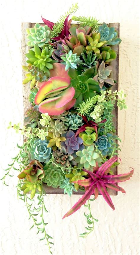 Succulent Planter Vertical Succulent Wall By Rootedinsucculents