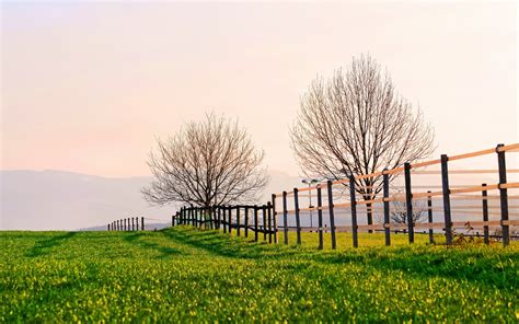 Fence Full Hd Wallpaper And Background Image 1920x1200 Id313247