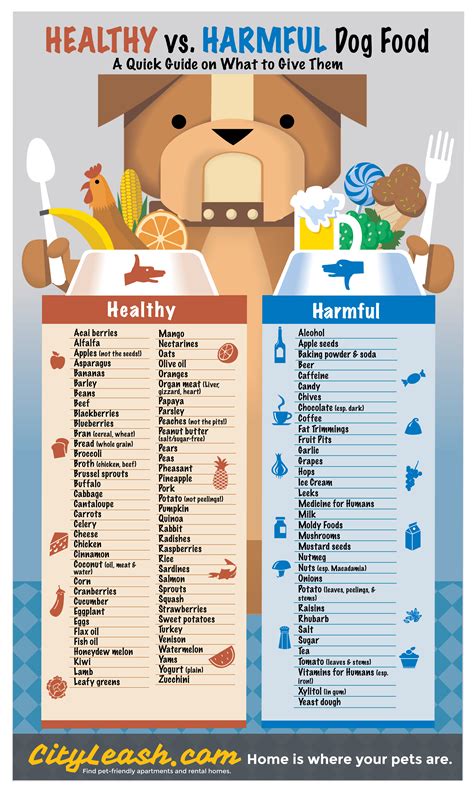 Healthy and Harmful Food for Dogs - CityLeash | Dog food recipes, Healthy dogs, Healthy dog food ...
