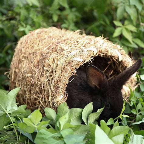 Little Pet Straw Bed Rabbit Straw Beds Hamster Straw Beds Etsy
