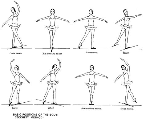 8 Ballet Body Positions Ballet Positions Ballet Moves Ballet Lessons