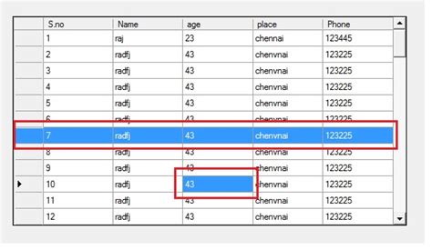 How Select Multiple Row Using Shift And Ctrl Key In Datagridview C