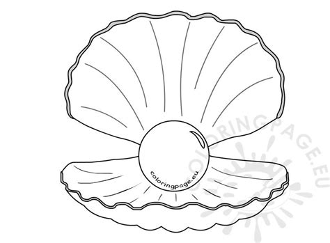 shell  pearl clipart kid coloring page