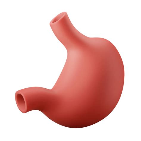 anatomie menselijk maag intern orgaan 3d icoon illustratie 11098068 PNG
