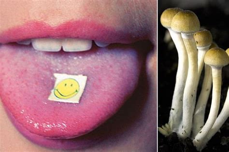 Brits Are Having Amazing Sex Eating Magic Mushrooms To Get Through