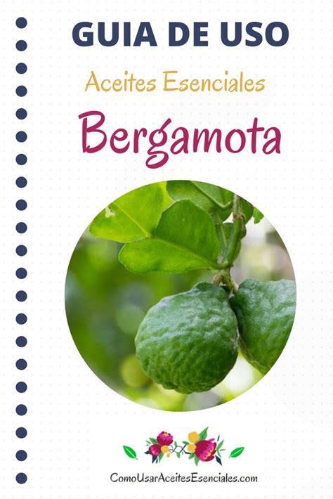 Como Usar El Aceite Esencial De Bergamota Aceite Esencial De