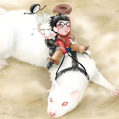 Lookit Cute Drarry On A White Ferret A Drarry Draco