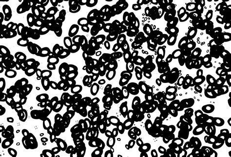 Black And White Vector Layout With Circle Shapes 3172350 Vector Art At