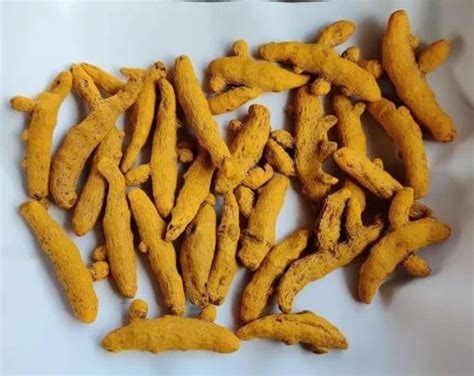 Dried Whole Turmeric Finger At Rs 115 Kg Haldi Stick In Bansgaon ID