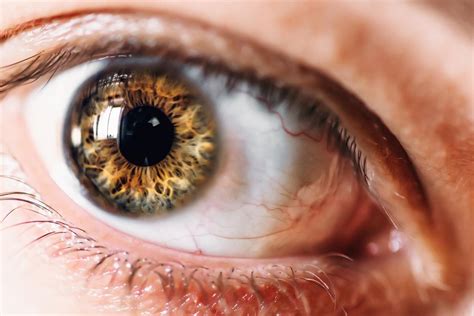People Whose Eyes Have A Dark Ring Around The Iris Appear More