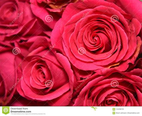 Dark Pink Rose Bouquet Stock Image Image Of Patterns 124298725
