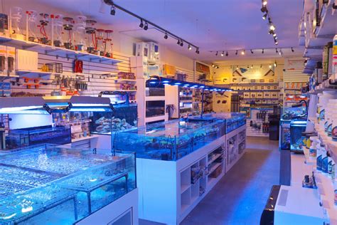 Torontos Best Aquarium Store And Saltwater Corals