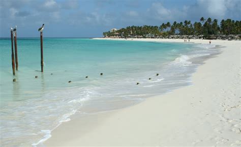 Divi Beach Aruba Abc Islands Ultimate Guide December 2023