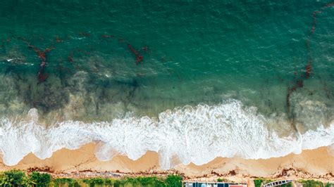 Von Oben Foto Von Wellen Die An Der Küste Des Klaren Ozeanwassers