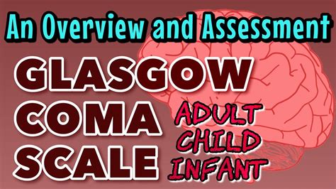 Glasgow Coma Scale An Overview And Assessment Adult Child Infant