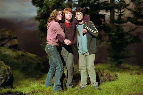 Harry Ron And Hermione Harry Potter Photo 19116654 Fanpop