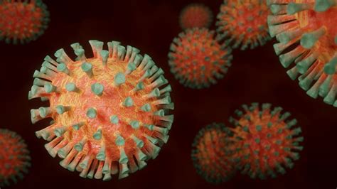 Varianti Del Coronavirus Cosa Fare Per Contrastarle Wired Italia
