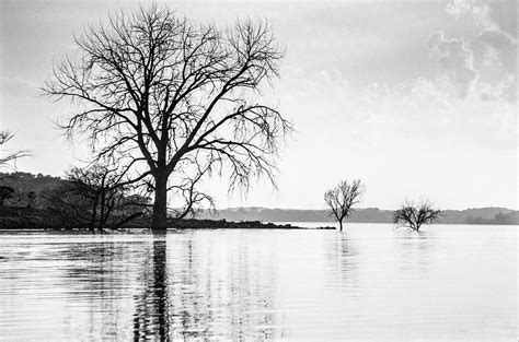 Lake Trees Reflecting Black And White Photograph By David M Porter